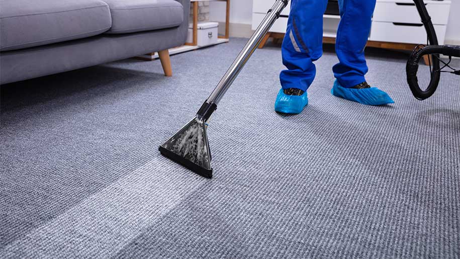 10 Reasons Why You Need Professional Carpet Cleaning in Lexington KY
