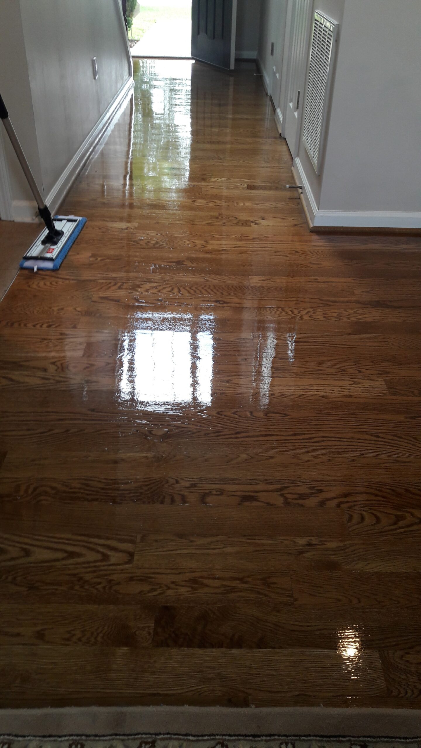 20170729 1224411 scaled