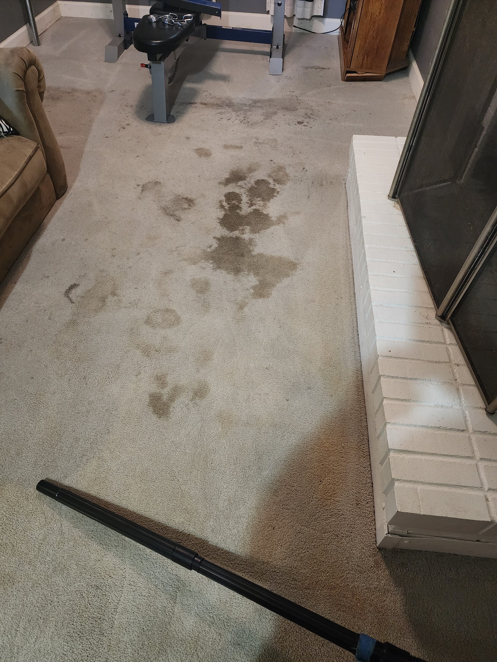 20240706 093655 scaled