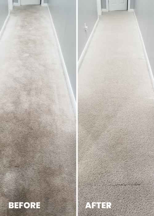 carpet cleaning in lexington ky