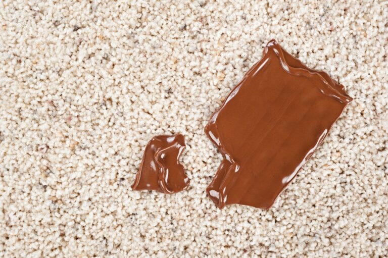 Chocolate on carpeted area