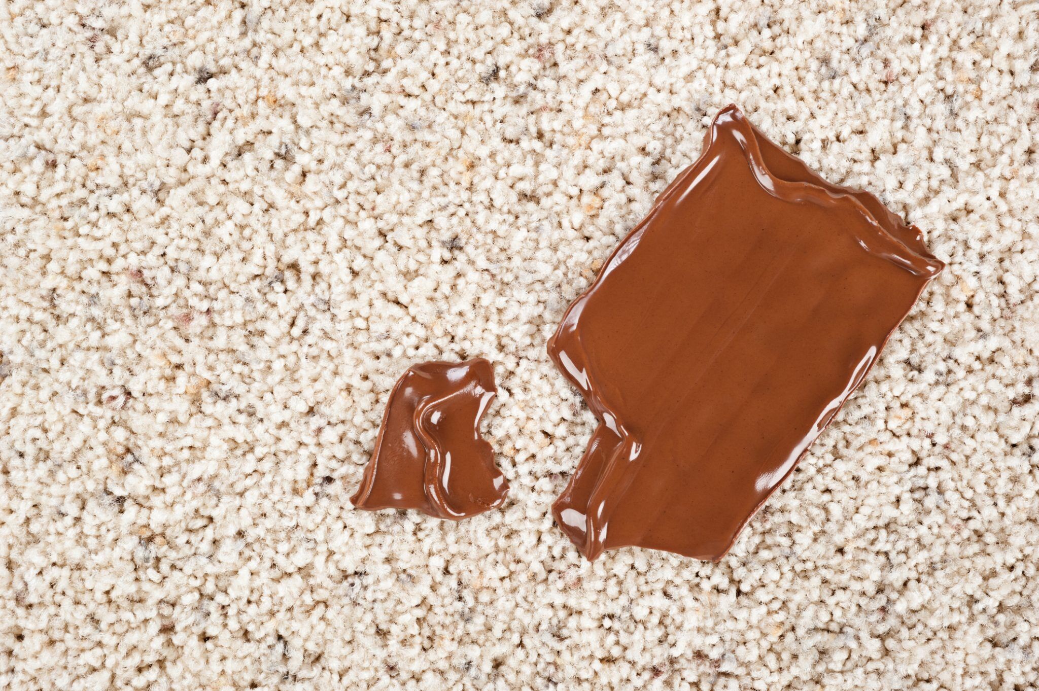 Chocolate on carpeted area