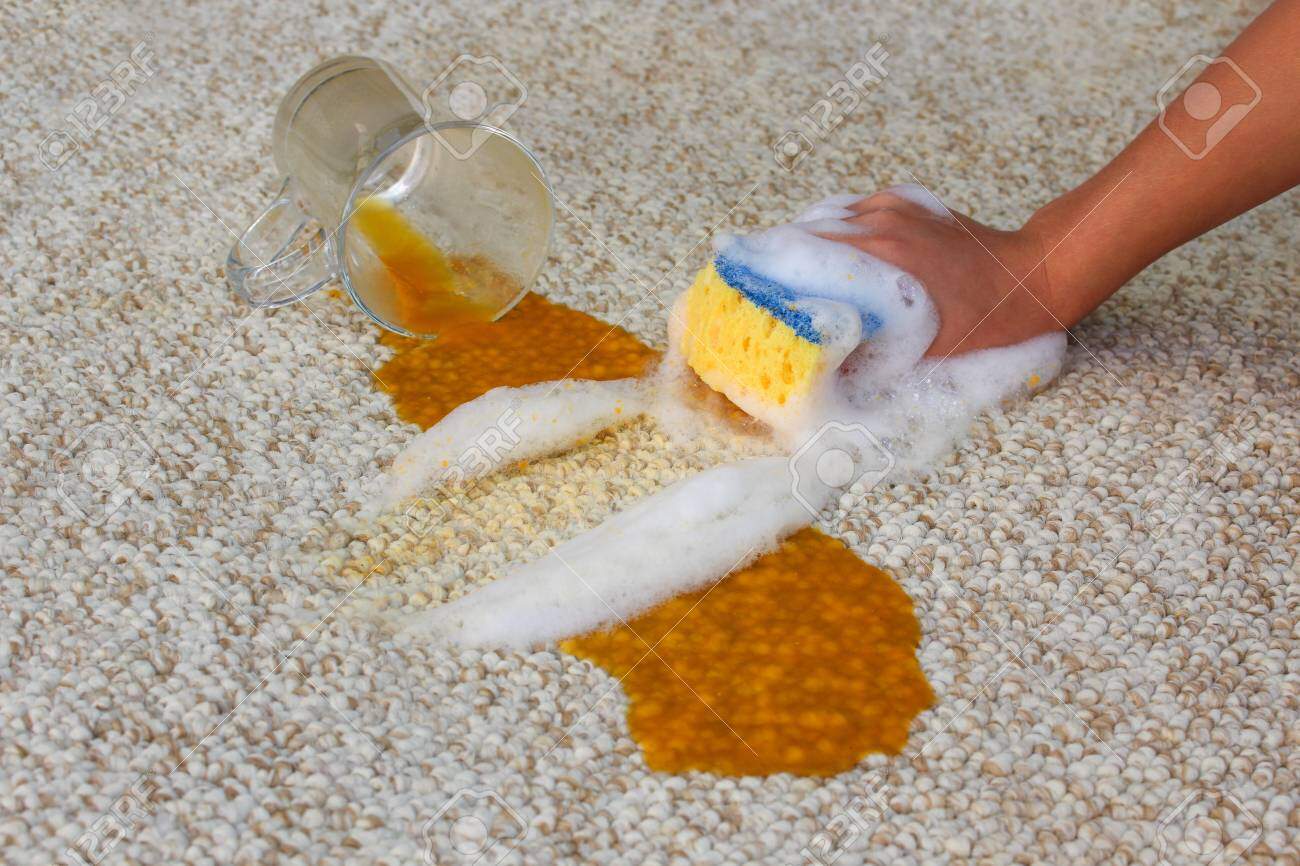 glass of juice and spilled on floor female hand cleans the carpet with a sponge and detergent