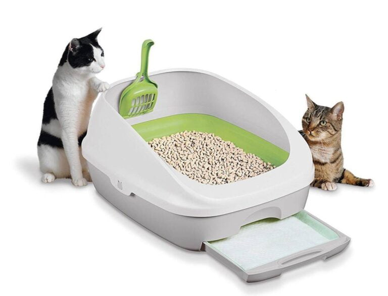 The Dreaded Litter Box