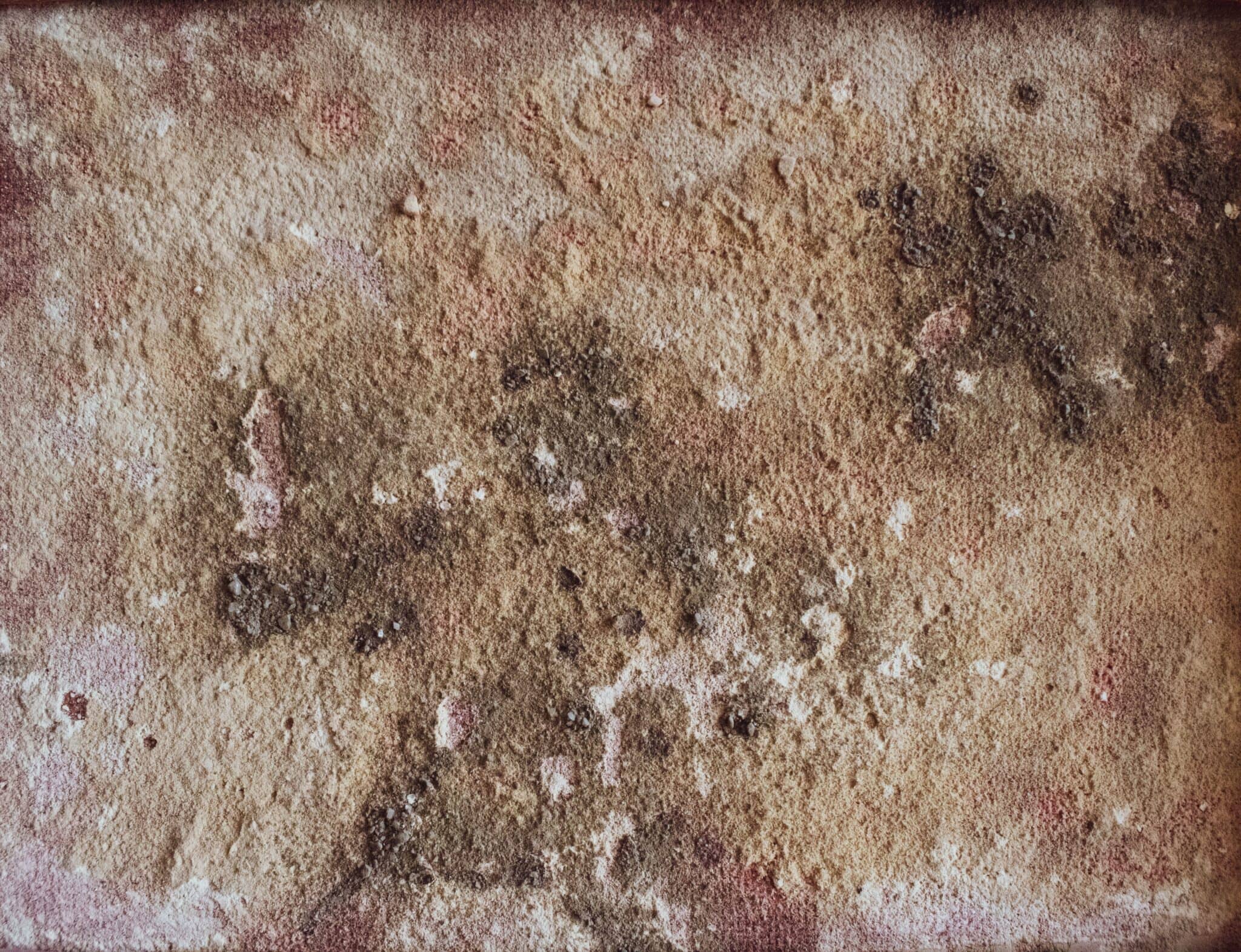 mold growth and what you can do about it