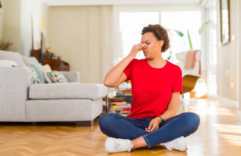 finding-and-eliminating-pet-odors-from-carpets-and-other-sources